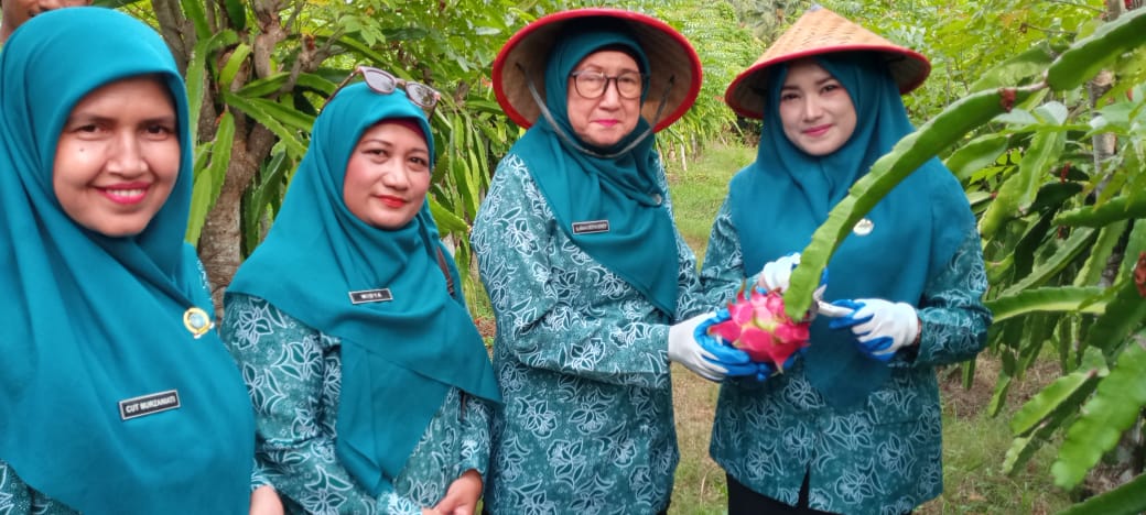 Dari Ie Meulee, Buah Naga Sabang Naik Kelas: TP PKK Gaspol Dorong Produktivitas hingga Agrowisata